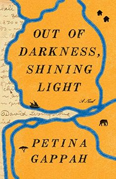 portada Out of Darkness, Shining Light: A Novel (in English)