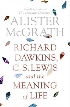 portada Dawkins, Lewis and the Meaning of Life (in English)