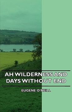 portada ah wilderness and days without end (en Inglés)