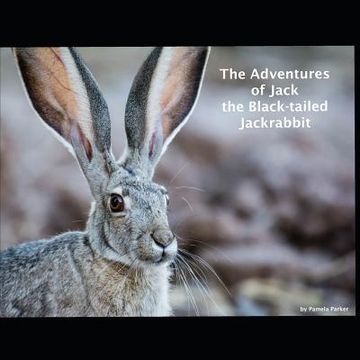 portada The Adventures of Jack the Black-tailed Jackrabbit (in English)