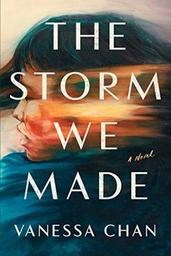 portada The Storm we Made: A Novel (in English)