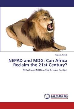 portada NEPAD and MDG: Can Africa Reclaim the 21st Century?