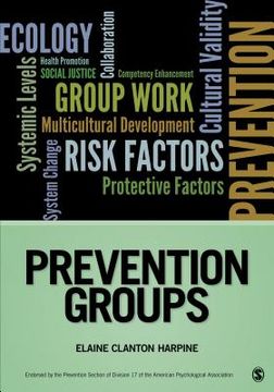 portada Prevention Groups (en Inglés)