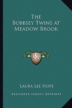 portada the bobbsey twins at meadow brook