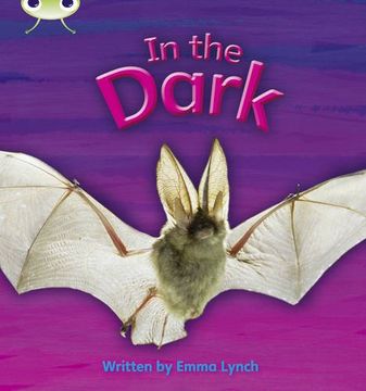 phonics bug in the dark phase 3
