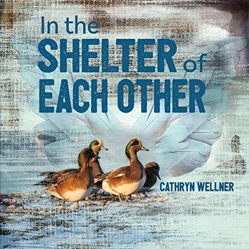 portada In the Shelter of Each Other