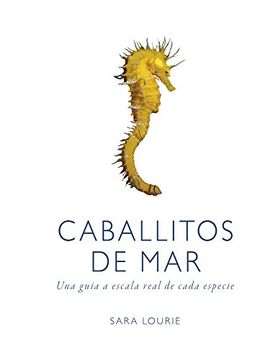 portada Caballitos de mar (in Spanish)