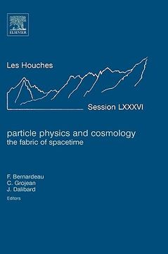 portada particle physics and cosmology: the fabric of spacetime (en Inglés)