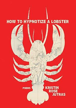 portada How to Hypnotize a Lobster (en Inglés)