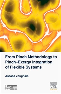 portada From Pinch Methodology to Pinch-Exergy Integration of Flexible Systems (en Inglés)