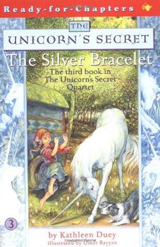 silver bracelet (en Inglés)