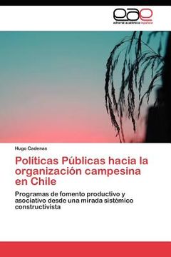 portada pol ticas p blicas hacia la organizaci n campesina en chile (in Spanish)
