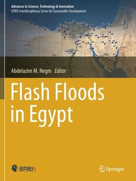 portada Flash Floods in Egypt (en Inglés)
