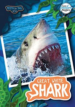 portada Teeth to Tail of a Great White Shark (en Inglés)