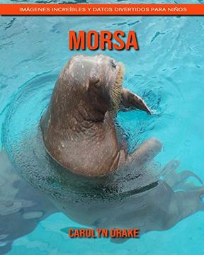 Morsa  Datos, fotos y más sobre Morsa