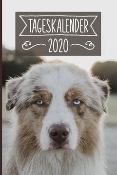 portada Tageskalender 2020: Terminkalender ca DIN A5 weiß über 370 Seiten I 1 Tag eine Seite I Jahreskalender I Australian Shepherd I Hunde (en Alemán)