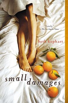 portada Small Damages (in English)