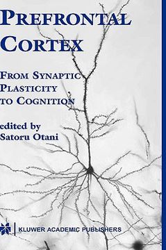 portada prefrontal cortex: from synaptic plasticity to cognition (in English)