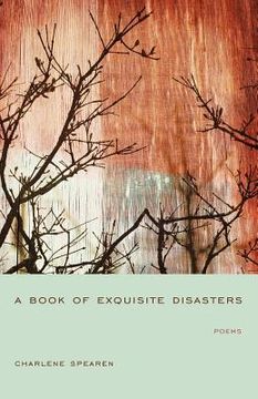 portada a book of exquisite disasters