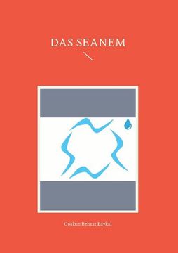 portada Das Seanem (en Alemán)