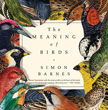 portada The Meaning of Birds