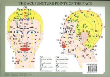 portada Acupuncture Points of the Face -- a4 (en Inglés)