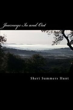 portada Journeys In and Out (in English)