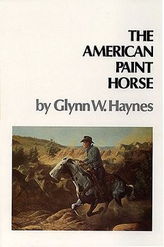 portada american paint horse (en Inglés)
