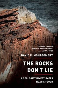 portada the rocks don't lie: a geologist investigates noah's flood (in English)