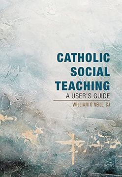 portada Catholic Social Teaching: A User'S Guide (en Inglés)