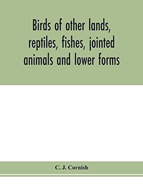 portada Birds of Other Lands, Reptiles, Fishes, Jointed Animals and Lower Forms 