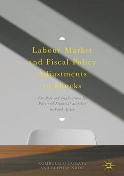 portada Labour Market and Fiscal Policy Adjustments to Shocks: The Role and Implications for Price and Financial Stability in South Africa