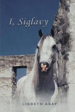 portada I, Siglavy