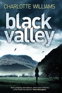 portada Black Valley (en Inglés)
