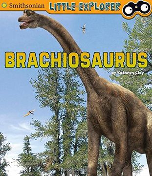 portada Brachiosaurus (Smithsonian Little Explorer: Little Paleontologist)