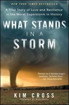 portada What Stands in a Storm: A True Story of Love and Resilience in the Worst Superstorm in History (in English)