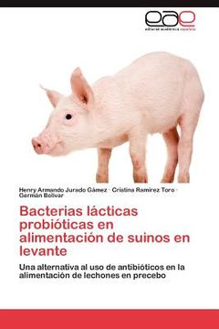 portada bacterias l cticas probi ticas en alimentaci n de suinos en levante (in Spanish)