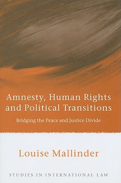 portada amnesty, human rights and political transitions