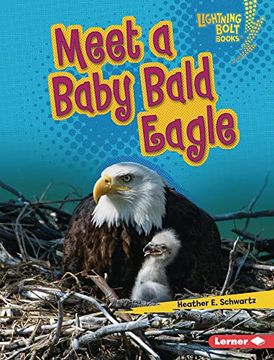 portada Meet a Baby Bald Eagle (Lightning Bolt Books ® ― Baby North American Animals) (en Inglés)