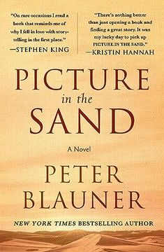 portada Picture in the Sand: A Novel (en Inglés)