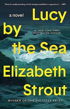 portada Lucy by the Sea: A Novel (in English)