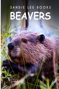 portada Beavers - Sandie Lee Books