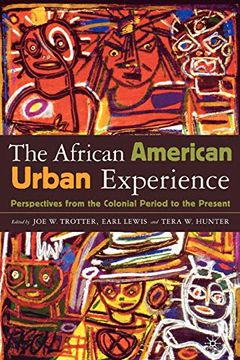 portada The African American Urban Experience (en Inglés)