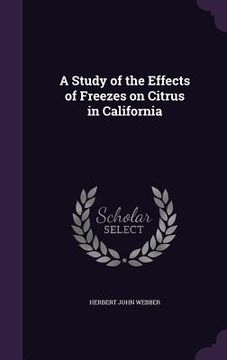 portada A Study of the Effects of Freezes on Citrus in California (en Inglés)