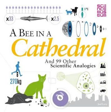 portada a bee in a cathedral: and 99 other scientific analogies. joel levy