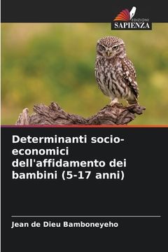 portada Determinanti socio-economici dell'affidamento dei bambini (5-17 anni) (in Italian)
