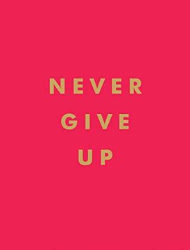 portada Never Give up 