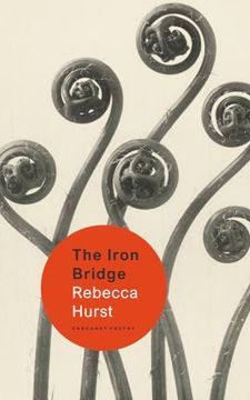 portada The Iron Bridge (in English)