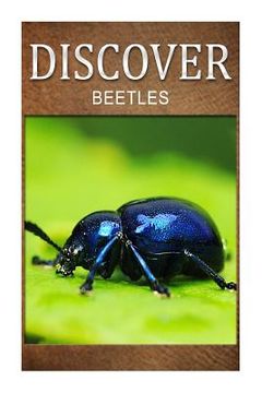 portada Beetles - Discover: Early reader's wildlife photography book