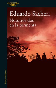 portada Nosotros dos en la tormenta (in Spanish)